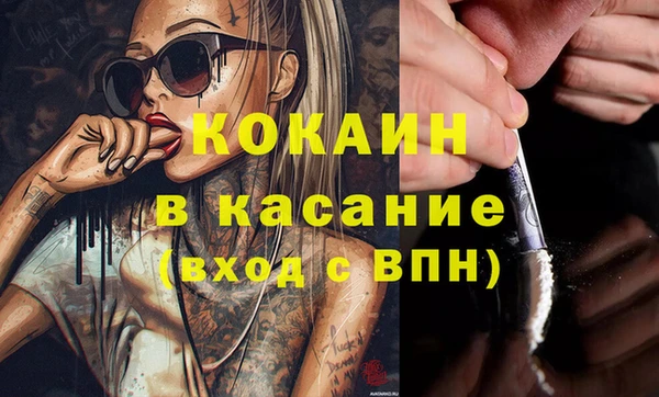 сатива Вуктыл