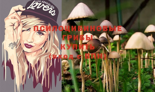apvp Майский