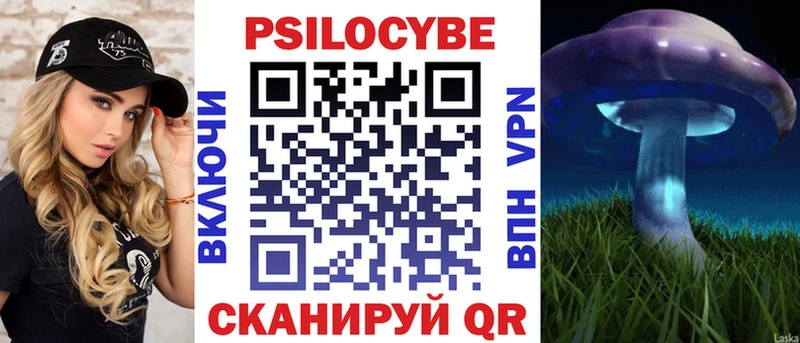 где найти наркотики  Мосальск  Галлюциногенные грибы Cubensis 